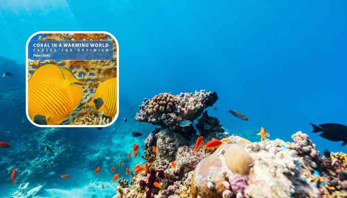 Coral Reefs Climate Change