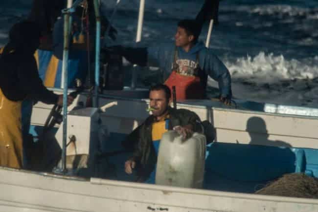 Sea Shepherd Ship’s Windows Smashed and Hull Set on Fire by Poachers