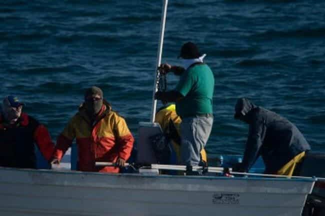 Sea Shepherd Ship’s Windows Smashed and Hull Set on Fire by Poachers