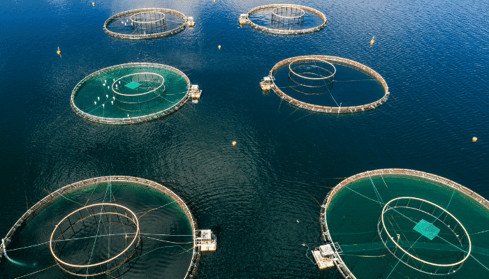 Aquaculture