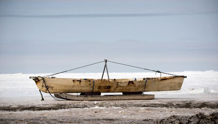 Chukchi Sea (2)