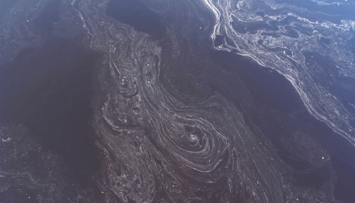 Exxon Valdez oil spill
