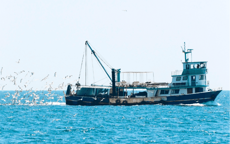 Fishing vessel 