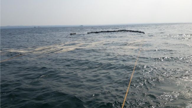 From the Baltic oil spill response drill. Notice the white popcorn on the surface – the “oil”