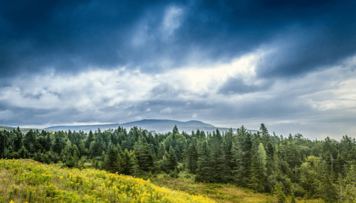 Fundy National Park