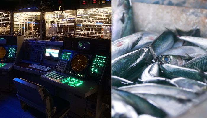 Global Fishing Is Possibly Illegal As Vessels Switch Off Their Tracking Devices