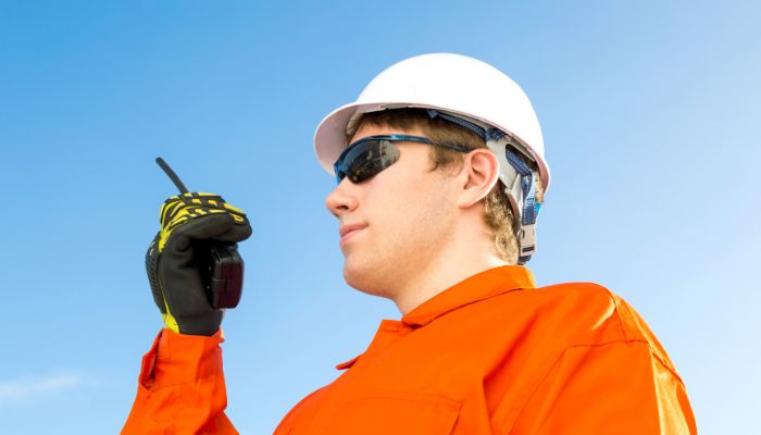 Global Seafaring Workforce