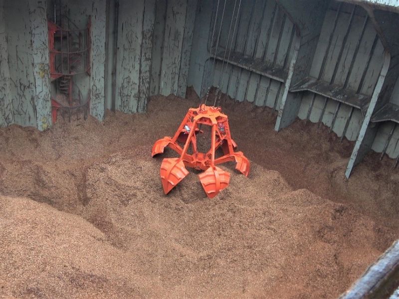 Grab capturing wood chips