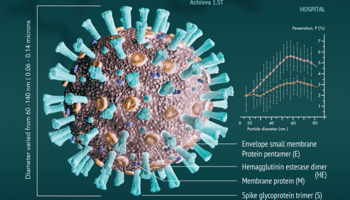 Graphical depiction of the COVID-19 or SARS-Cov Virus