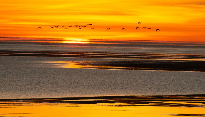 Gulf of Carpentaria