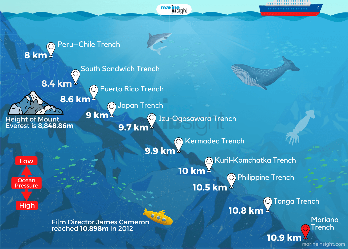 Infographics of Deepest Parts Of The Ocean