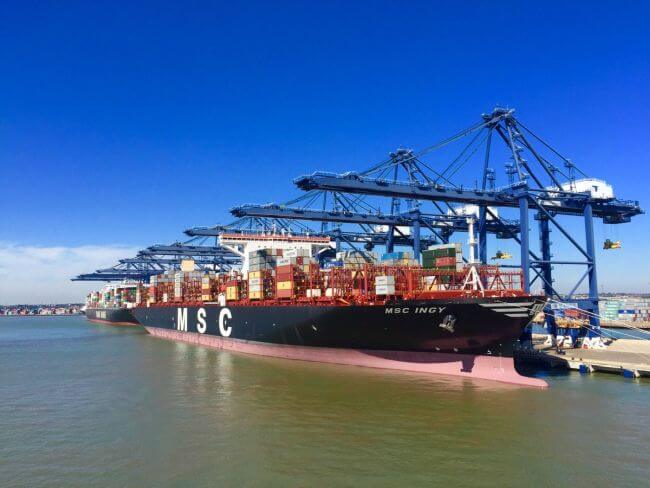 MSC INGY
