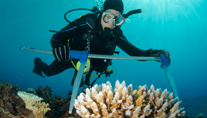 Marine Biologist