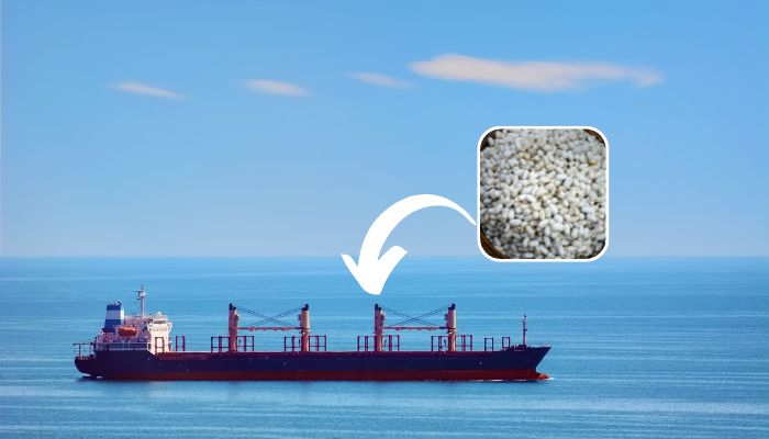 Moth Egg Masses On Bulk Carrier 2