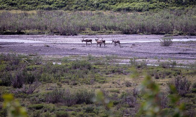 Arctic Report Card tracks region’s environmental changes