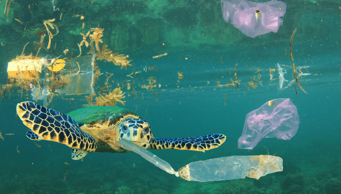 Plastic In Pacific Ocean