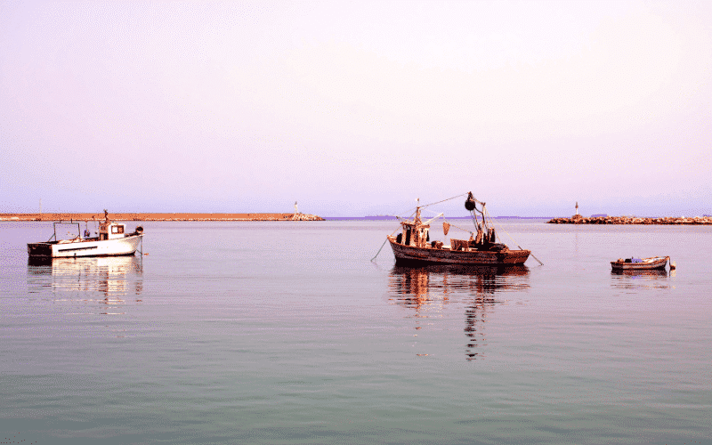 Port of Bejaia