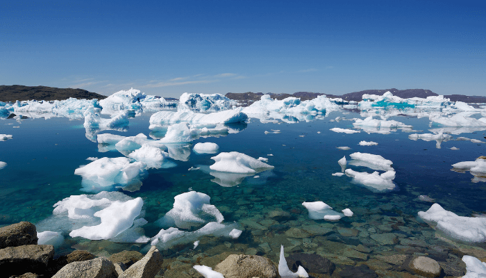 Port of Narsaq