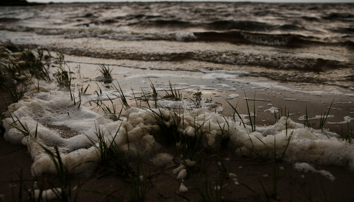 Sea Foam