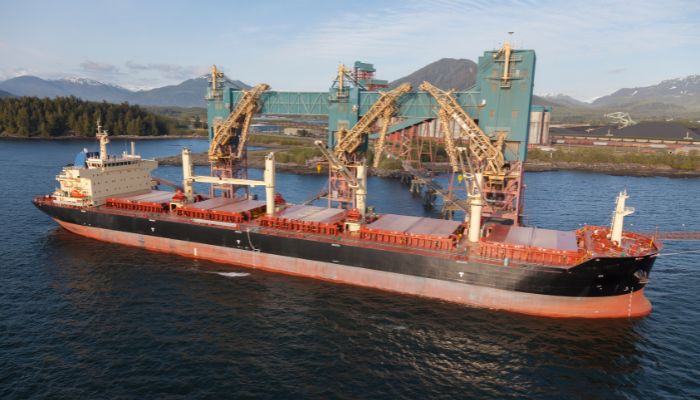 UN Names Kuwaiti Coordinator For The Black Sea Grain Initiative