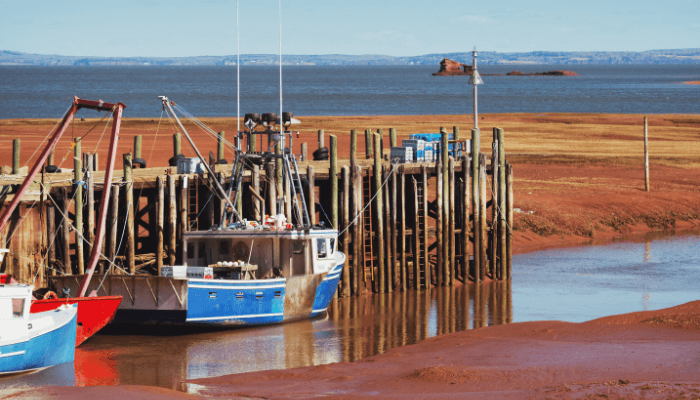 bay of fundy ports