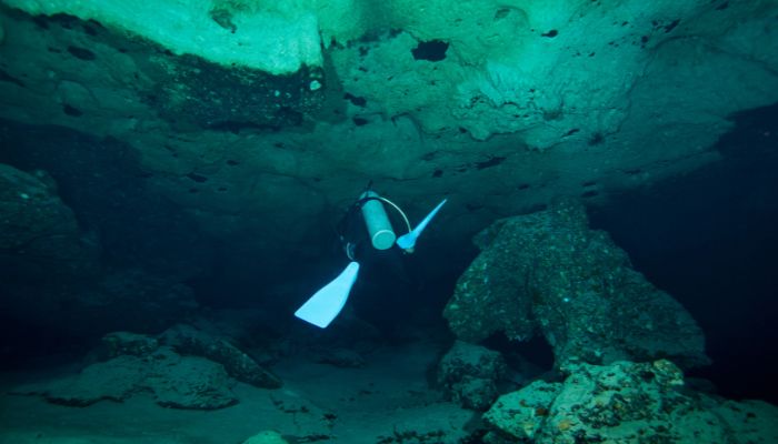 deep sea trenches