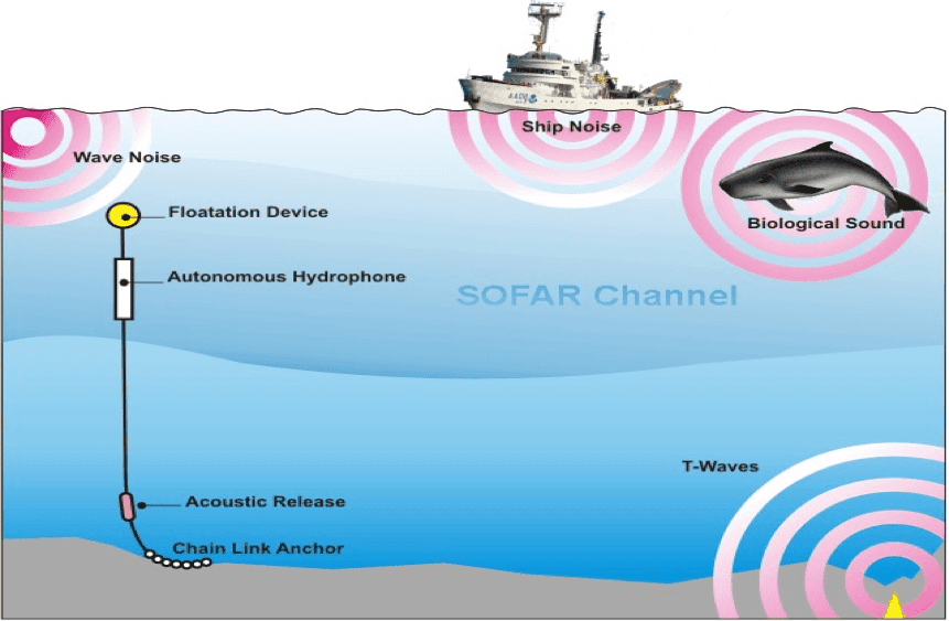 Underwater Hydrophone