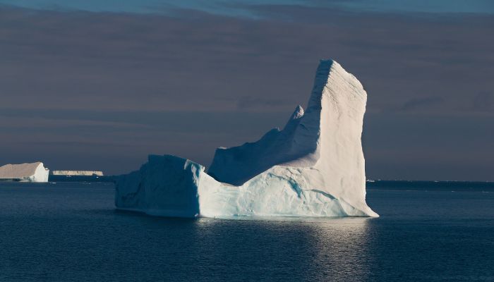 icebergs