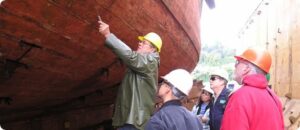 Harmonised Survey System