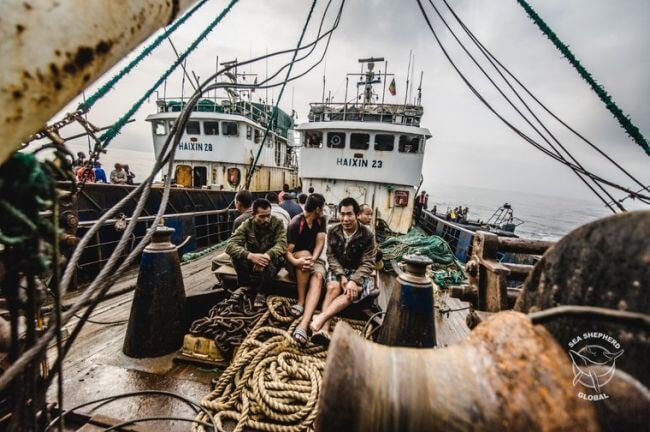 seashepherd_trawler arrest1