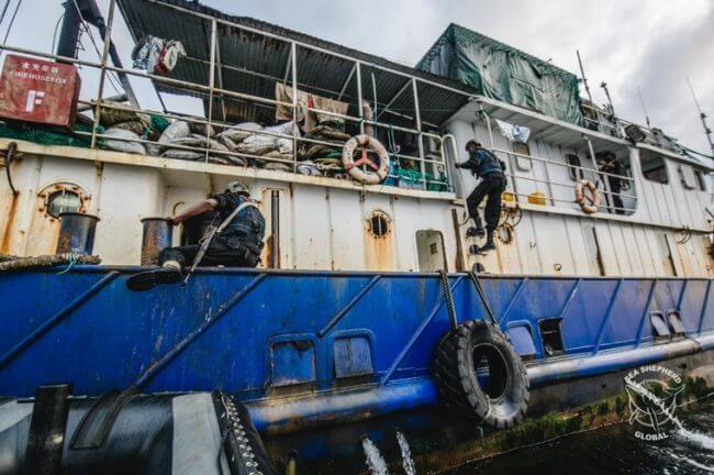 seashepherd_trawler arrest3