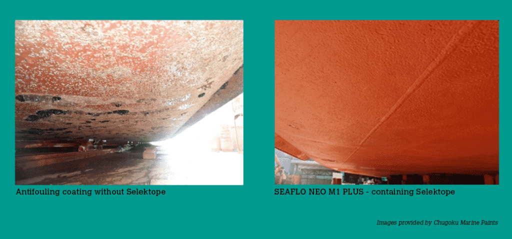 Side by side comparison of before and after application of the solution