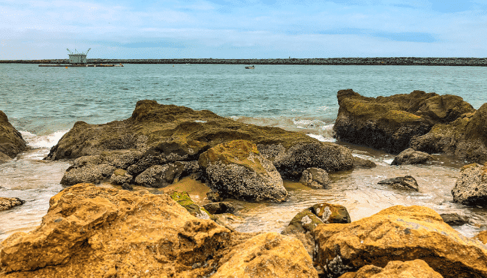 types of tide pools 