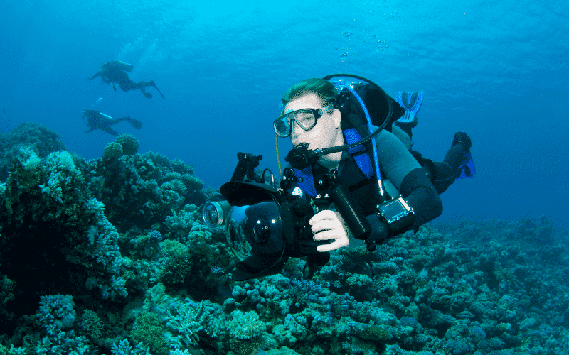 underwater photography