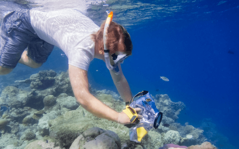 underwater photography picture