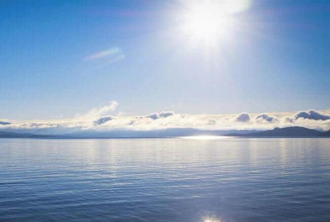 wartsila_clean marine future